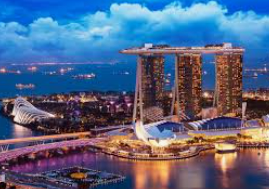 世界杯下单平台网站官网电脑免费版